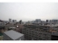 景色