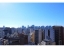 景色