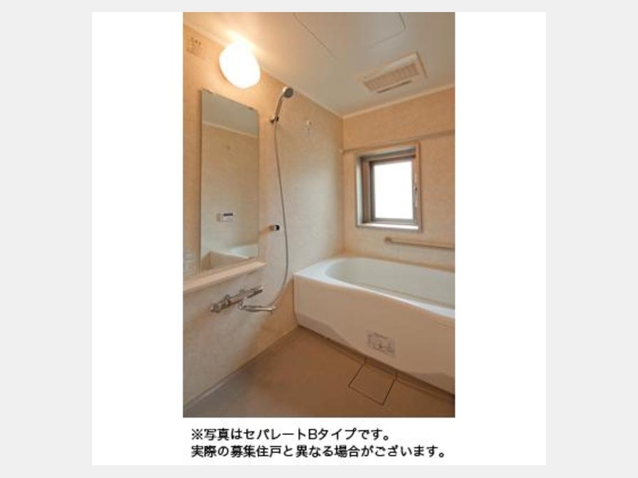 バス