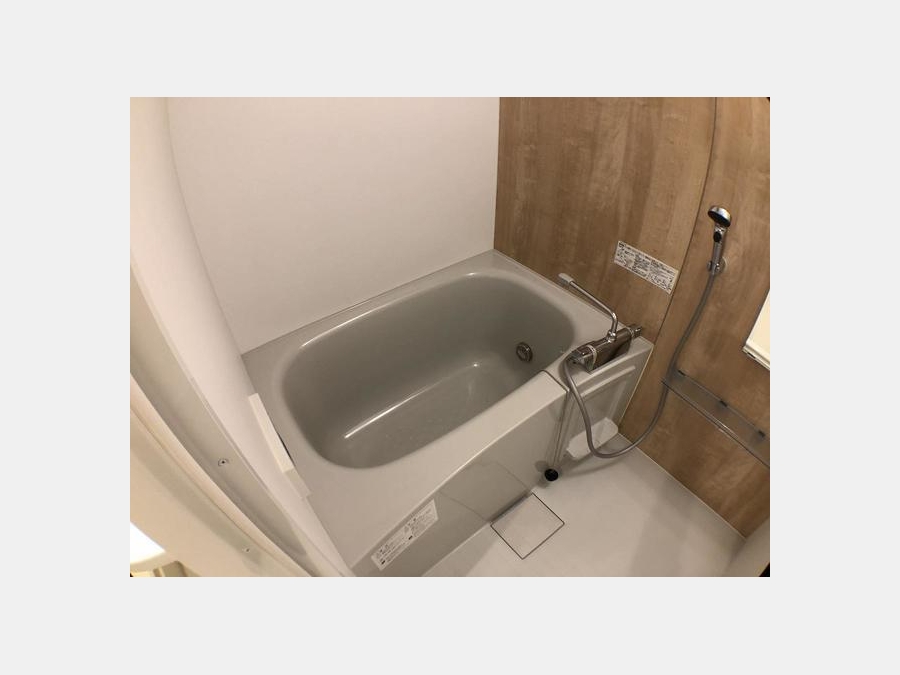 バス