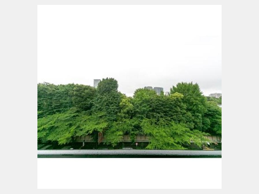 景色