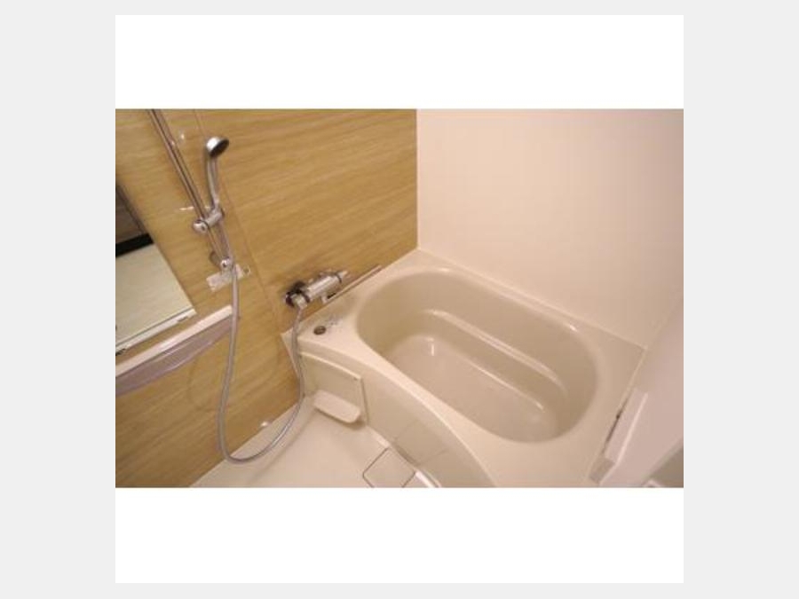 バス