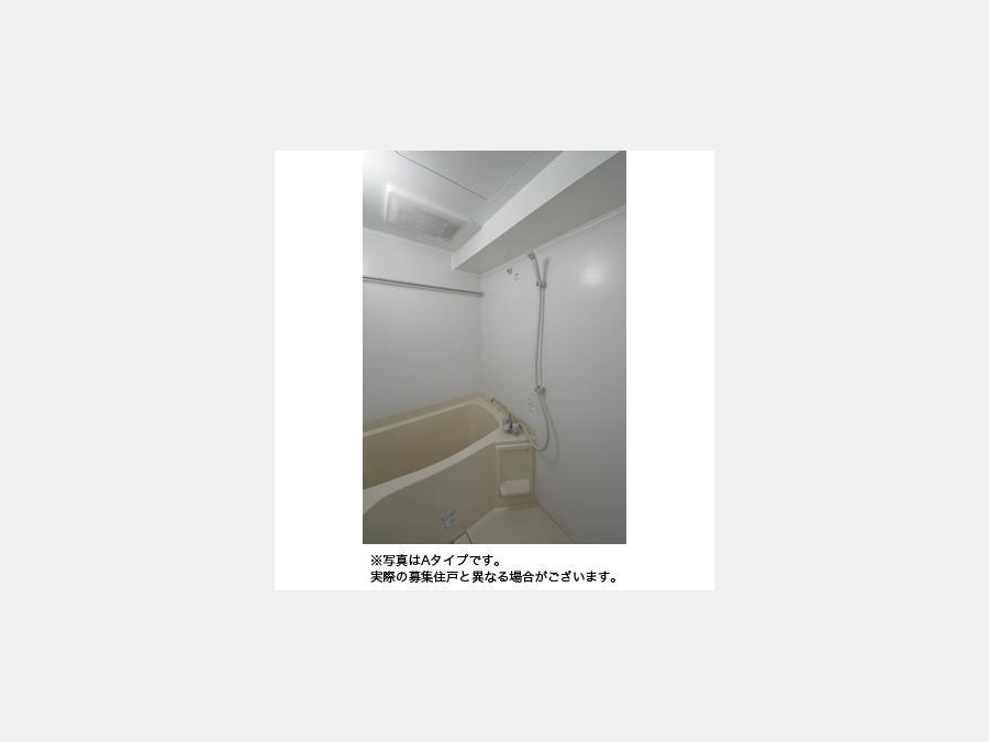 バス