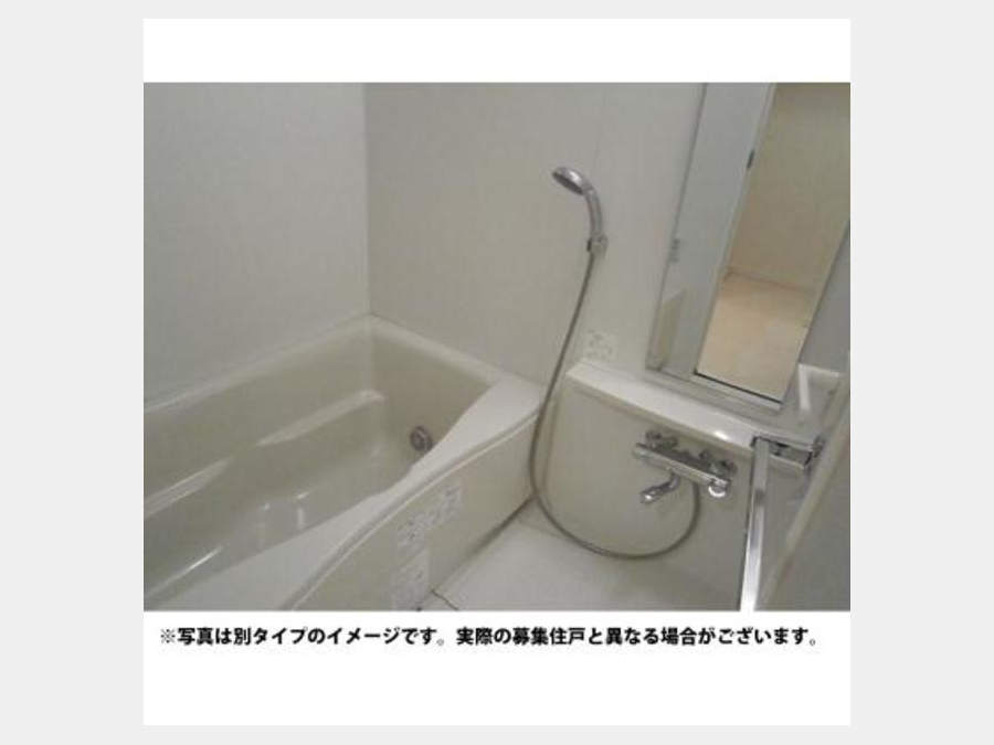 バス