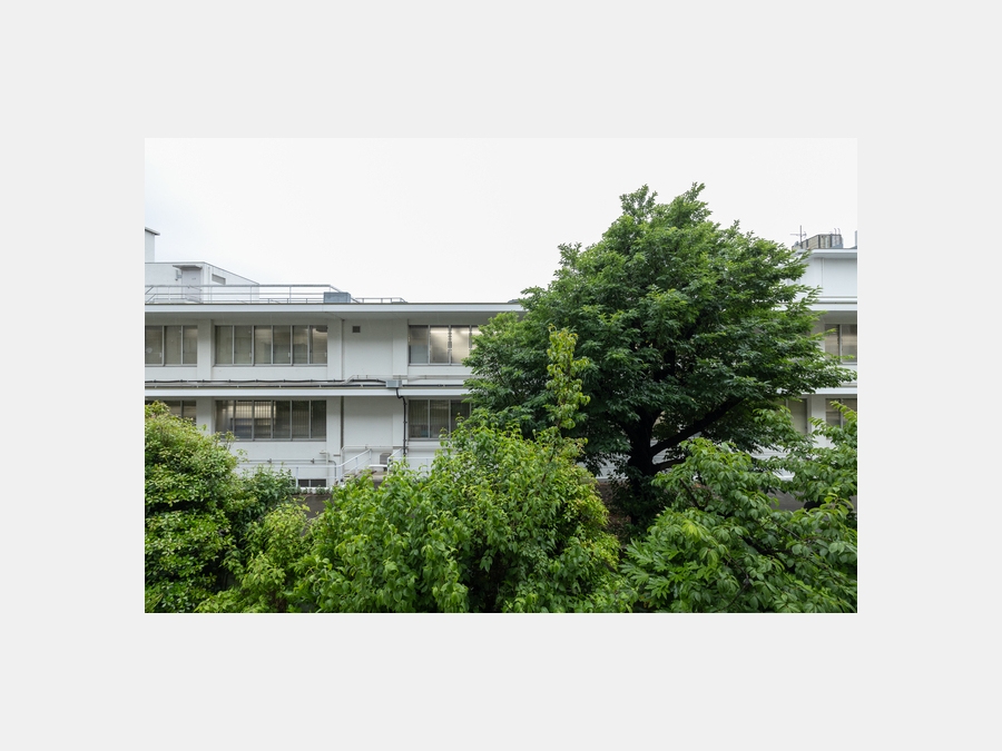 景色