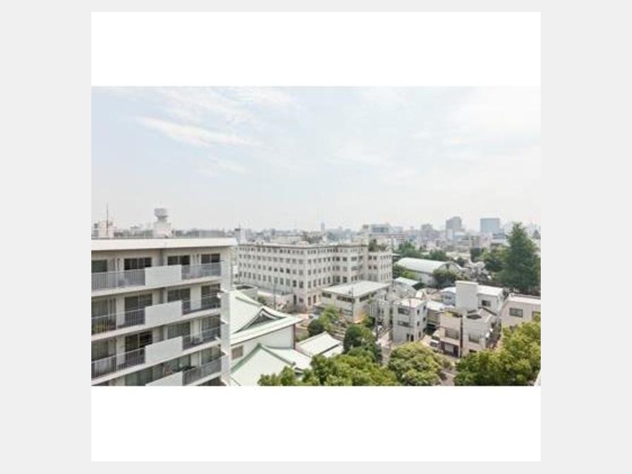 景色